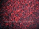 Frozen Fruit Frozen Berry Frozen Lingonberry