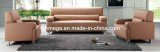 Modern Office Sofas Seating Design (FOH-6706)