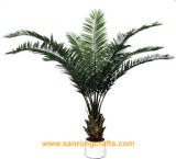 Small Palm Tree (SRC-152)