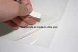 Screen Protector