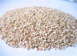New Crop White Sesame From China