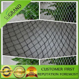 Agriculture UV Stabilized Anti Bird Netting