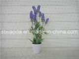 Artificial Plastic Potted Flower (XD15-332)