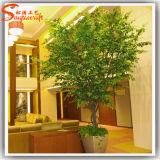Home Decoration Artificial Live Ficus Tree Bonsai