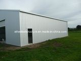 Fast Build Prefabricated Building for Warehouse