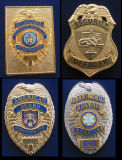 Police Security Badge 2