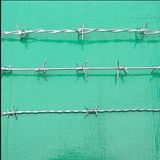 Security Fence/ Barbed Wire Mesh