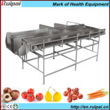 Fruit&Vegetable Checking Machine with CE