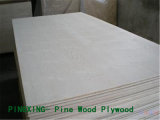 Chinese Pine Plywood / Nz Radiata Pine Plywood