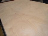 Timber Prefinished Plywood (1220X2440MM; 915X2135MM)