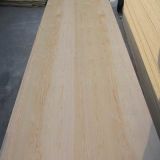 Best Quality of Pine Faced Plywood