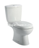 White Sanitary Ware Ceramic Bathroom Water Closet Washdown Two Pieces Flush Toilet (WDS18)