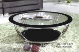 Glass Coffee Table/End Table/Center Table (CJ13-42)