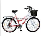 Red Beach Bicycle for Hot Sale (BB-001)