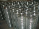 Welded Wire Mesh (001)