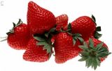 Frozen Strawberry Allstar (15-25mm; 25-35mm)