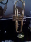 American Trumpet (HTL-670)