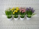 Artificial Plastic Potted Flower (XD15-324)