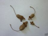 Natural Compressed Catnip-Mice Cat Toy