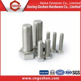 Ss304 / Ss316 Full Thread Bolt / Hex Head Bolt DIN933