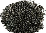 High Quality Good Price Black Sesame Seeds