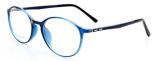 New Optical Tr90 Frame Fashion Eyewear