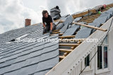 Profesional Natural Dark Grey/Black Roofing Slate for Roof and Walling