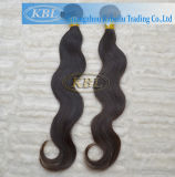 Peruvian Human Virgin Hair (KBL-pH-BW)