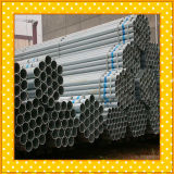 A36 Hot Dipped Galvanized Steel Tube