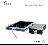 2014 Polymer Mobile Power Bank 12000mAh for Laptop/iPad/P1000 (Y120)