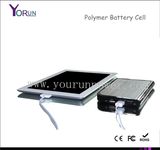 2014 Polymer Mobile Power Bank 12000mAh for Laptop/iPad/P1000 (Y120)