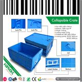 Plastic Collapsible Crate