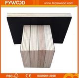 Poplar Film Faced Plywood