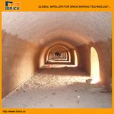 India Clay Brick Hybrid Hoffman Kiln