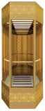 Panoramic Elevator Luxury Decoration