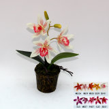 Artificial Potted Flower, Imitative Silk Orchid