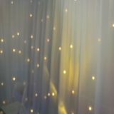 Romantic Wedding Backdrop Curtain