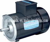 NEMA Standard Three Phase Electric Motors