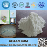 Low Acyl Gellan Gum Promotional Halal Gum Gellan