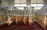 Poultry Defeathering Machine