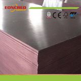 Melamine WBP Glue Film Faced Plywood