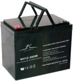 High Rate Battery/Telecommunication Systems Battery (NH12-300W)