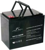 High Rate Battery/Telecommunication Systems Battery (NH12-300W)