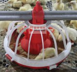 Poultry Equipment for Poultry Farm