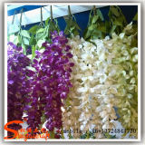 Home Decorative Artificial Plastic Silk PE Hang Wall Flower