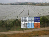 Anti Hail Net for Protect Your Plant, Vegetables, Fruits, etc