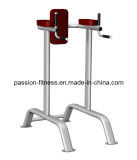 Vertical Knee Raise Free Weight Commercial Fitness/Gym Equipment with SGS