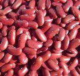 Red Kidney Beans (012)