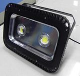 100W LED Outdoor Flood Light (DSL007)