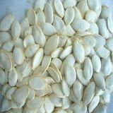 Snow White/Shine Skin Pumpkin Seeds